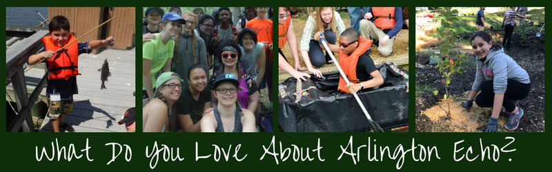 What do you love about Arlington Echo?